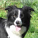Sprite was adopted in June, 2006